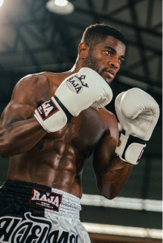 boxer